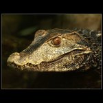 Dnes bez úsměvu...