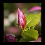 Ještě jedna z archivu ...