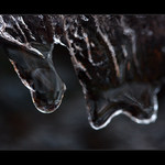 Jarní tání po kapkách