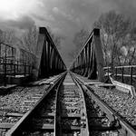 ani neviem... asi kos