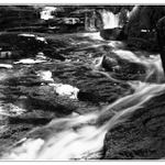 Memory Of Water vol. III.