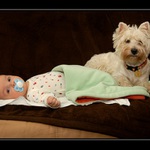 ..i prckové mají bodyguardy..