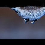 Ledové vemínko paní Zimy