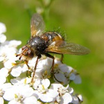 tady hezky svítí slunce... u vás né?