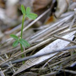 tak, a jdem na to ...