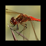 ... naproti létu ...