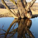 už chybí  jen ten vodník