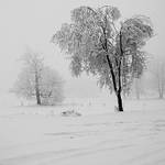 když byl ještě sníh