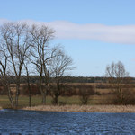 Větrná