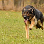 .... zdrhááááám