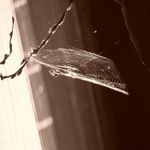 ještě tady a je to...