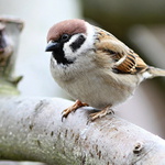 a sluníčko pořád nikde.... ach jo