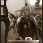 odpolední zátiší