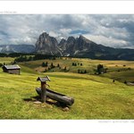 Dolomiti - Alpe di Siusi