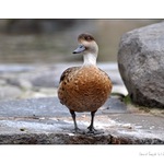 ještěéééé z leva, to jsem hezčí