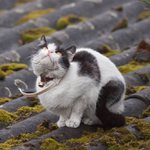 tak kdy už ten ptáček vyletí...