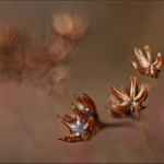 halooo jaro kde jsi...