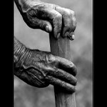 Old man´s hands