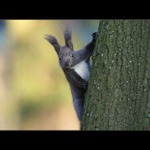 Dávám ti vteřinu,voe!