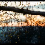 ....minolta colors....