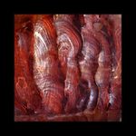 Na válečné stezce