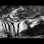 Morana(Odchod paní zimy)