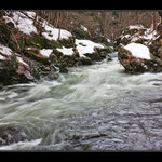 Kamenice