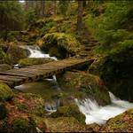 Když Suchá Kamenice není suchá...