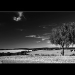 Setkání s paní Břízou