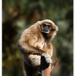 ... hop a je tu lidoop ...