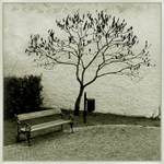 *** LAVIČKOVÉ ZÁTIŠÍ ***