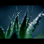 ***TANEC MEZI KAPKAMI DEŠTĚ II.***