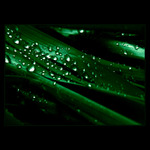 ***ZAČÍNÁ UPLAKANÝ DEN***