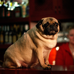 v pátek jsem vždycky děsně ztahanej