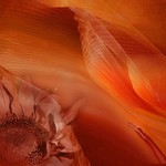 snění o žhavém létě...