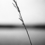 horizont č.12