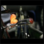 Těžko říct co z toho bude......