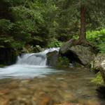 Horský potok v Západních Tatrách :-)