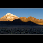 Sajama NP