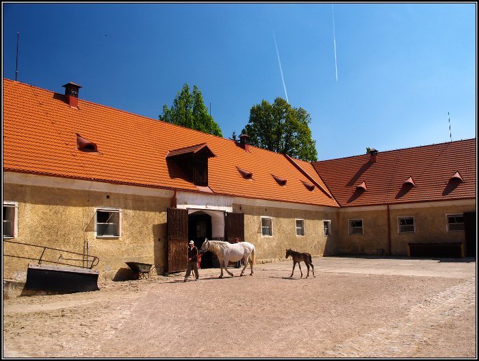 na nádvoří