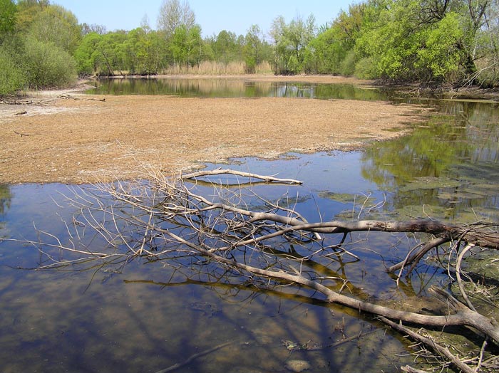 Třeboňsko