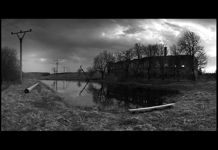 V krajině bez kytiček