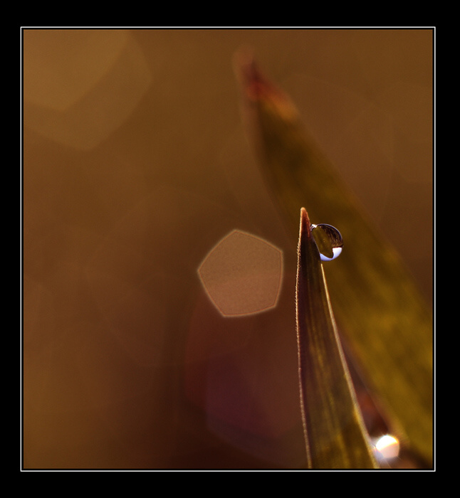 -O.--oo.O