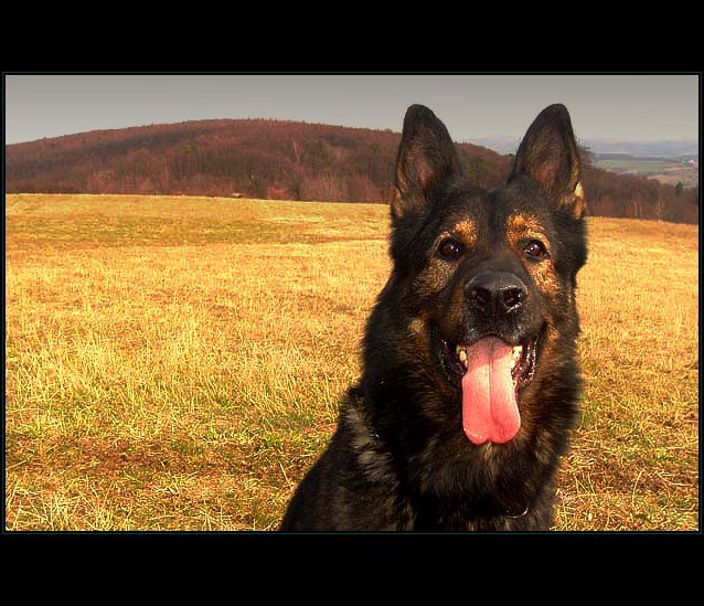 Boník :-)