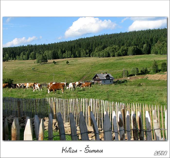 Šumava - Kvilda