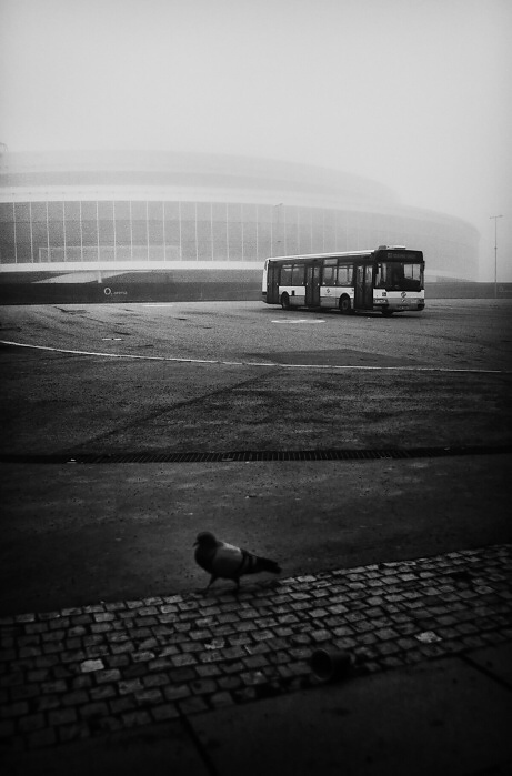 Z cyklu "Mlžné vzpomínky na nedělní ráno"