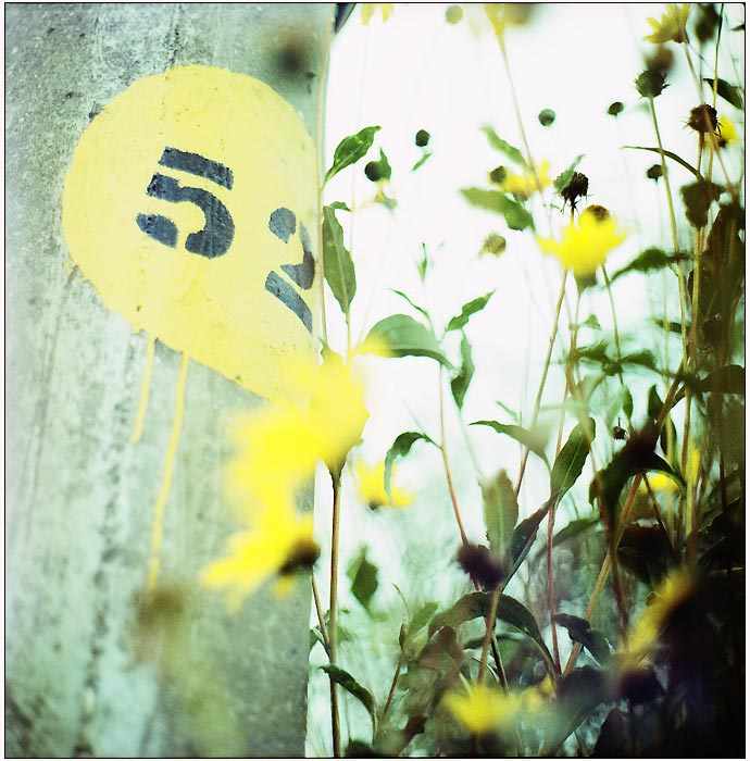 52
