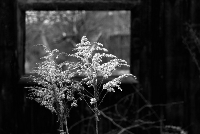 Jak jsme byli  v kině