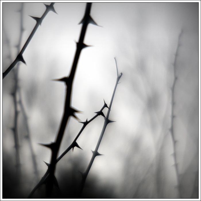 ...v lese...