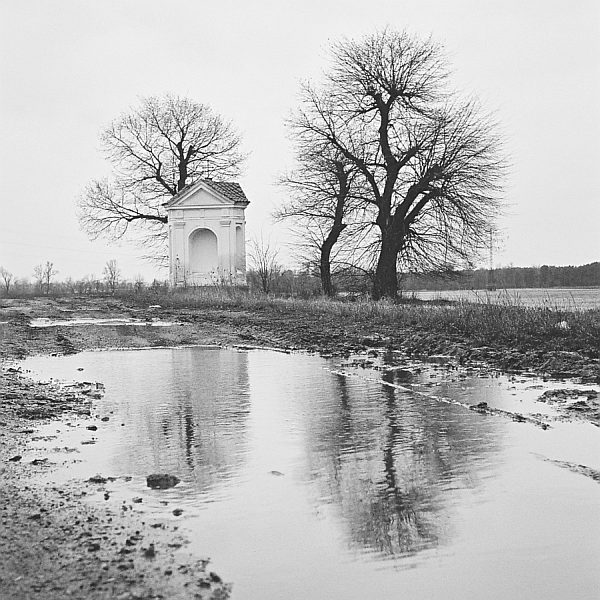 Kaplicka